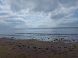 Charmouth Beach