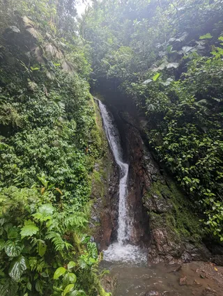 Místico Arenal Hanging Bridges