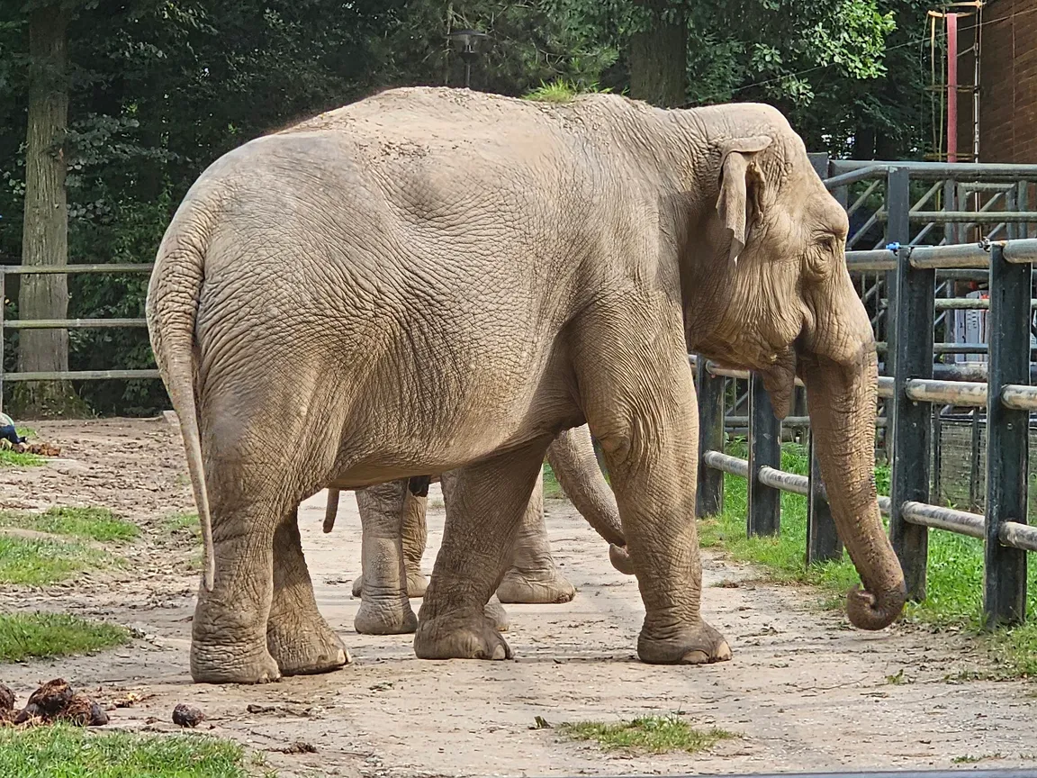 Ogród Zoologiczny w Krakowie
