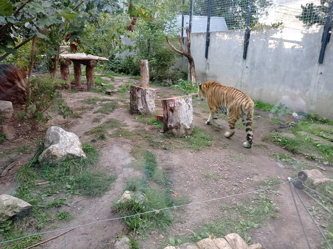 MIEJSKI OGRÓD ZOOLOGICZNY W PŁOCKU Sp. z o.o.
