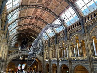 Muzeum Historii Naturalnej w Londynie