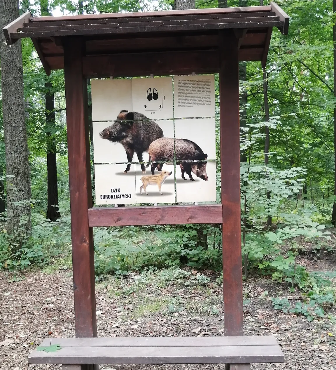 Park Cygański Las w Bielsku-Białej