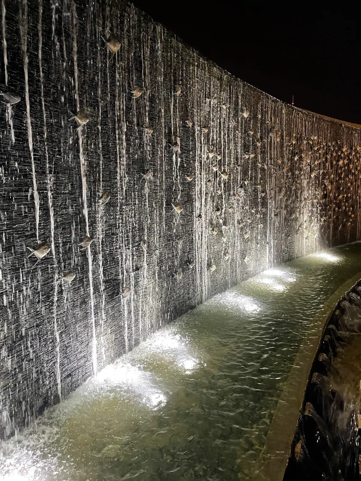 Al Shaheed Lake بحيرة حديقة الشهيد