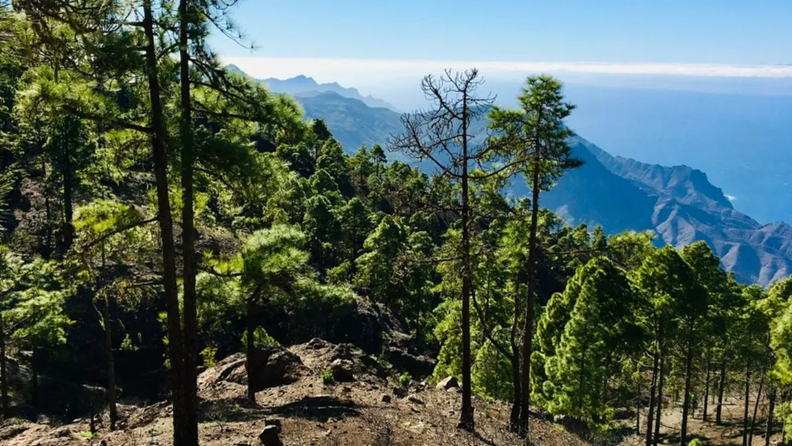 La 365 Trail