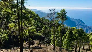 La 365 Trail