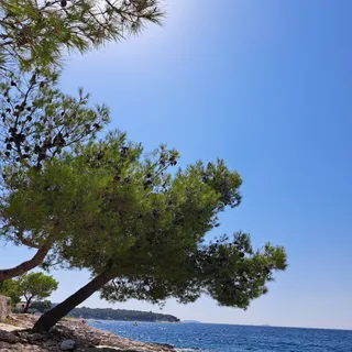 Spiaggia di Dolac