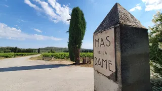 Mas de la Dame
