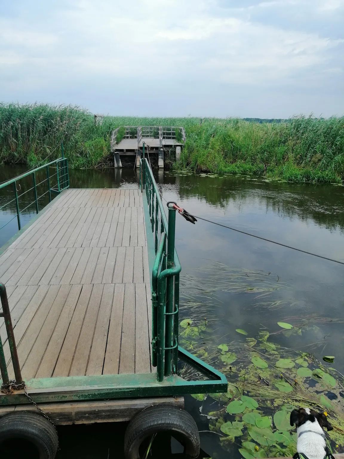 Waniewo - Kładka
