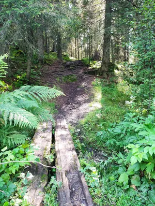 Estenstadmarka