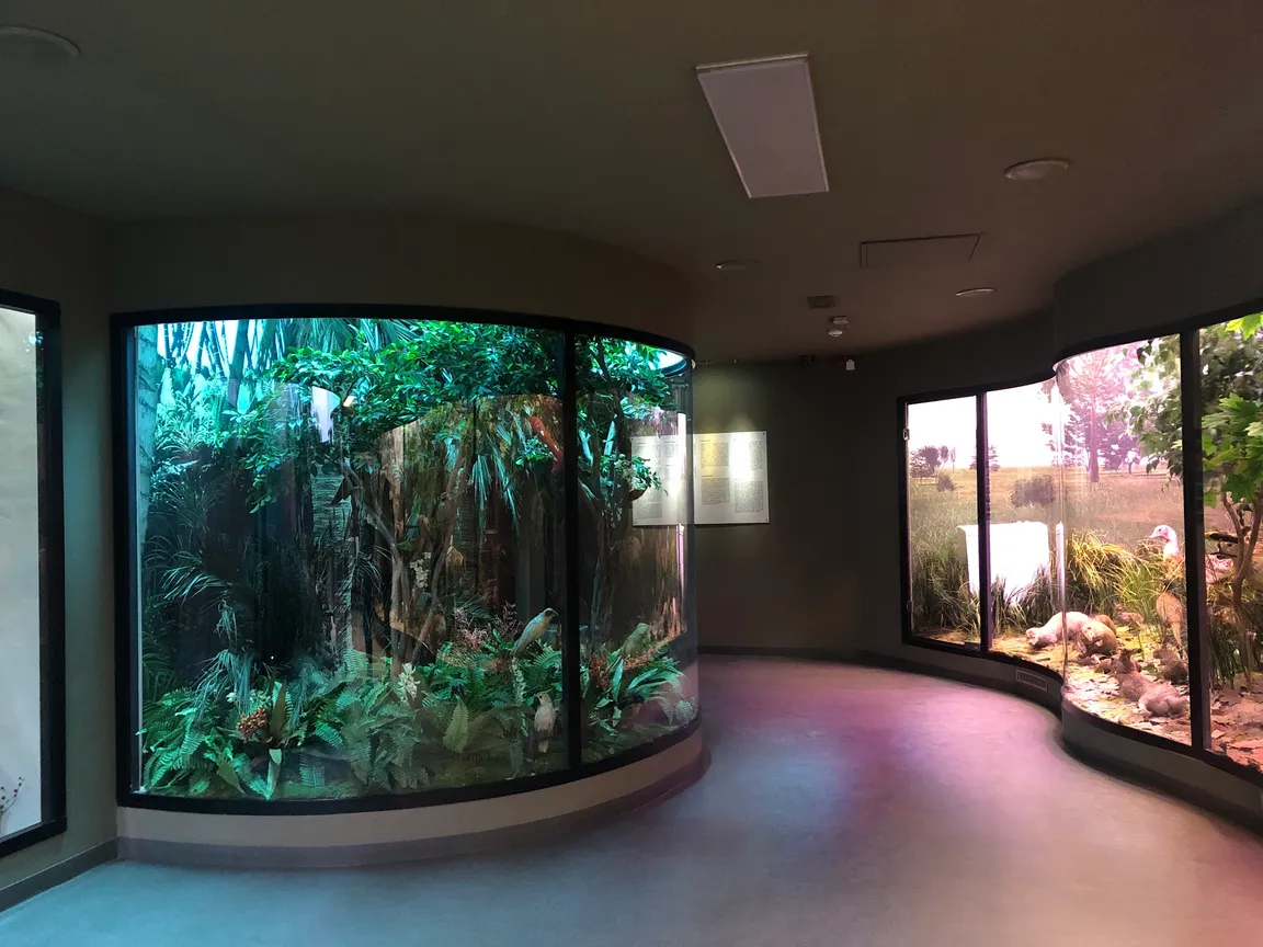 Natural History Museum