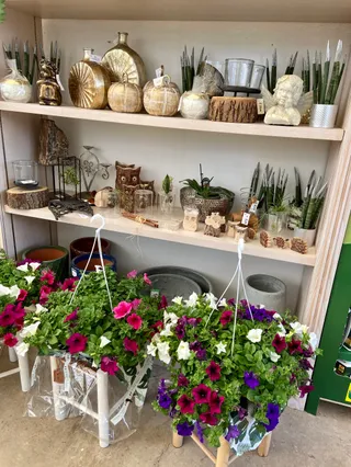 Smeralda Garden Center