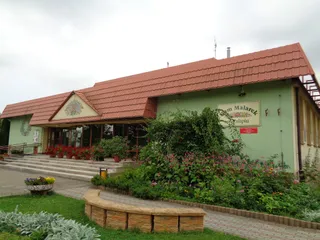 Dom Malarek w Zalipiu