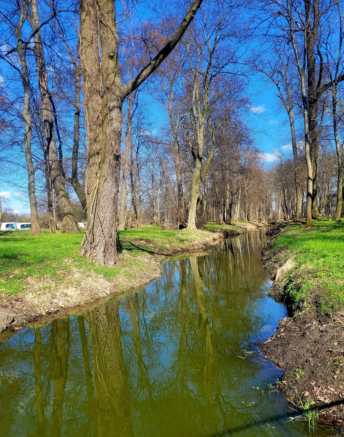 Pałac Wieniawskich Glamping