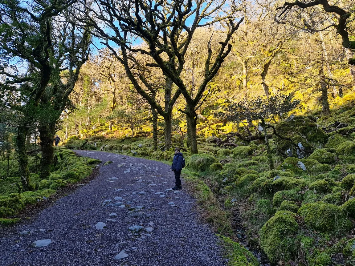 Torc Mountain