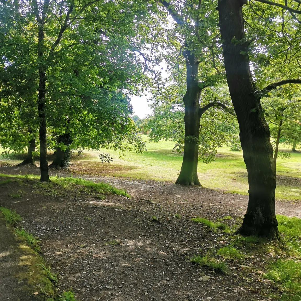 Clyne Valley Country Park
