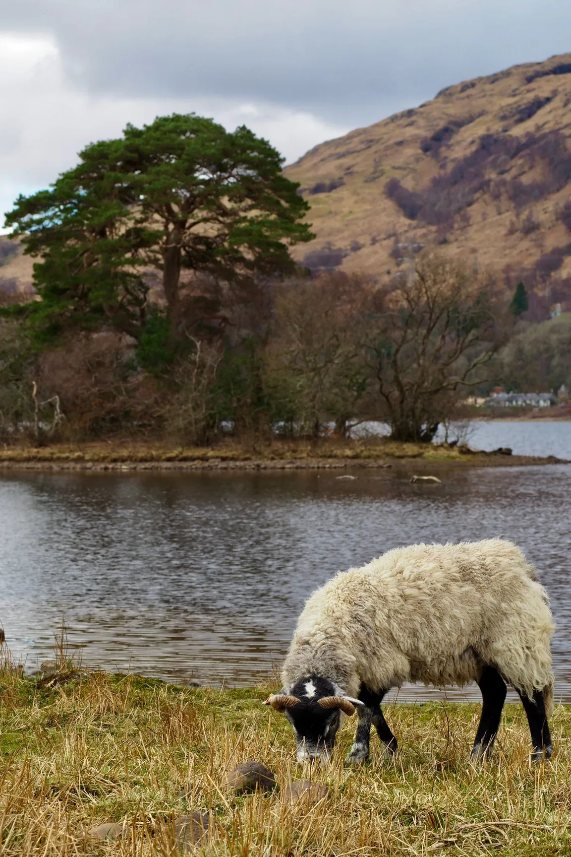 Eilean na Moine