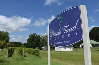 Purple Toad Winery and Distillery