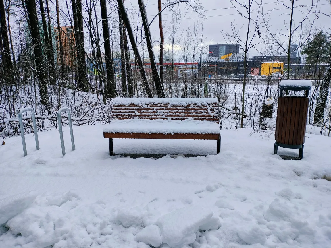 Järve mets