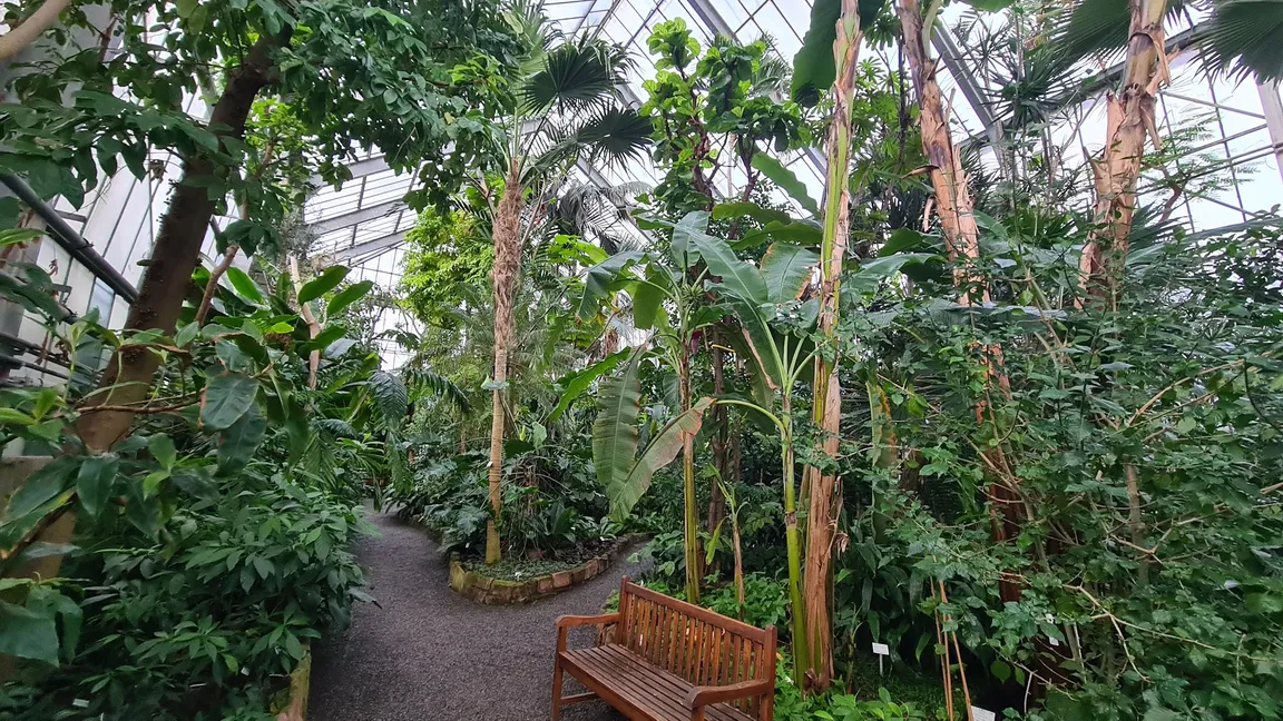 Ogród Botaniczny w Heidelbergu