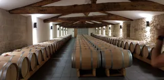 Château Panet, Vignobles Carles