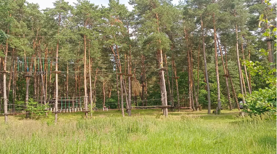 Park linowy Małpi Las