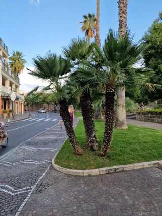 Parco Lauro