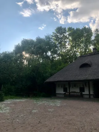 Shynok "Kosa nad charkoyu"