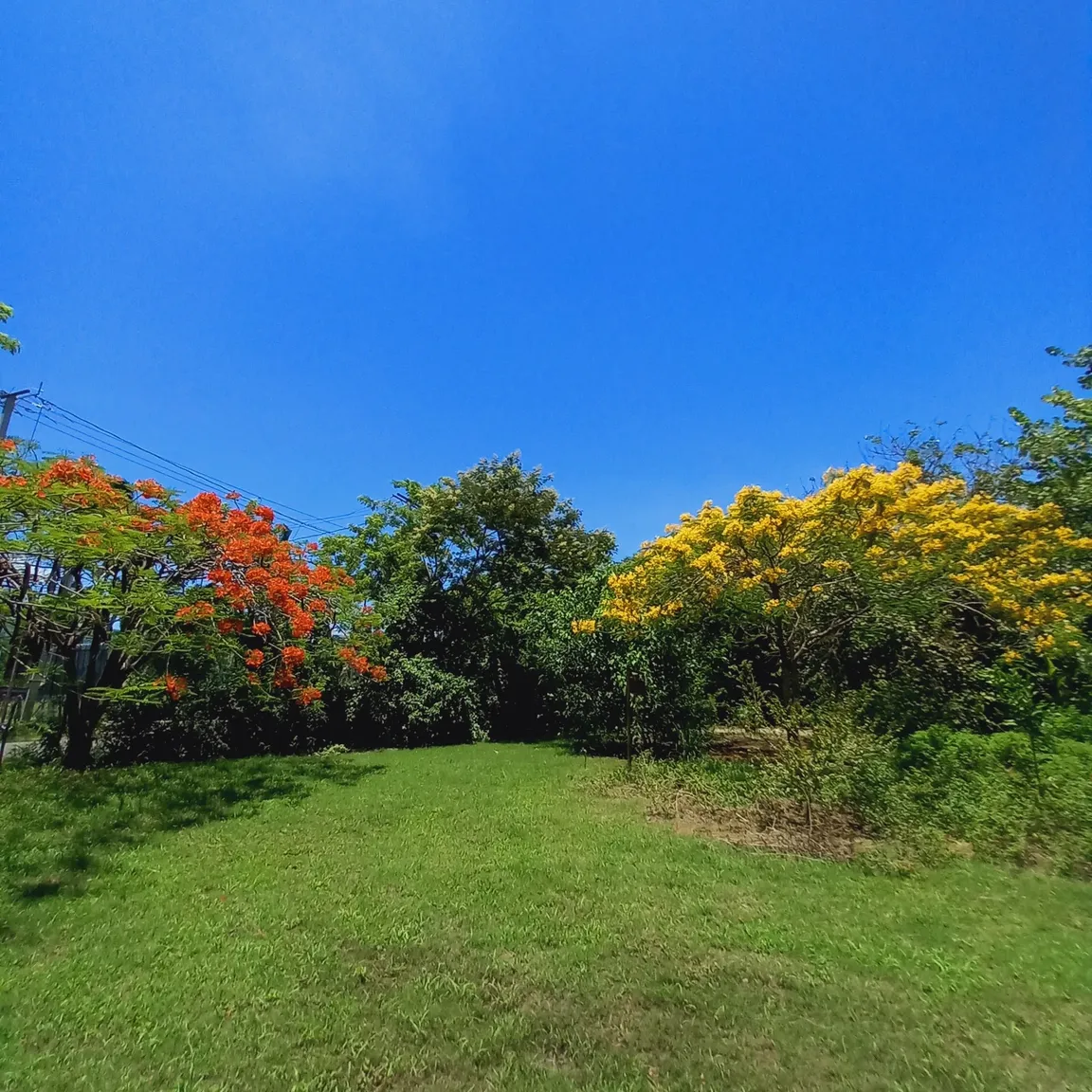 Hacienda Biológica Virginia