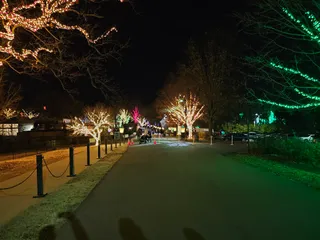 Cheekwood