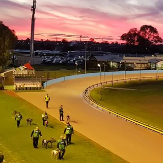 Sandown Greyhound Racing Club