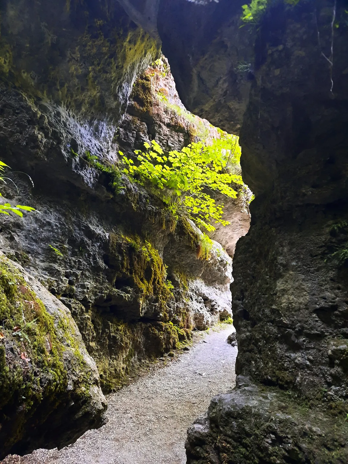 Fränkische Schweiz