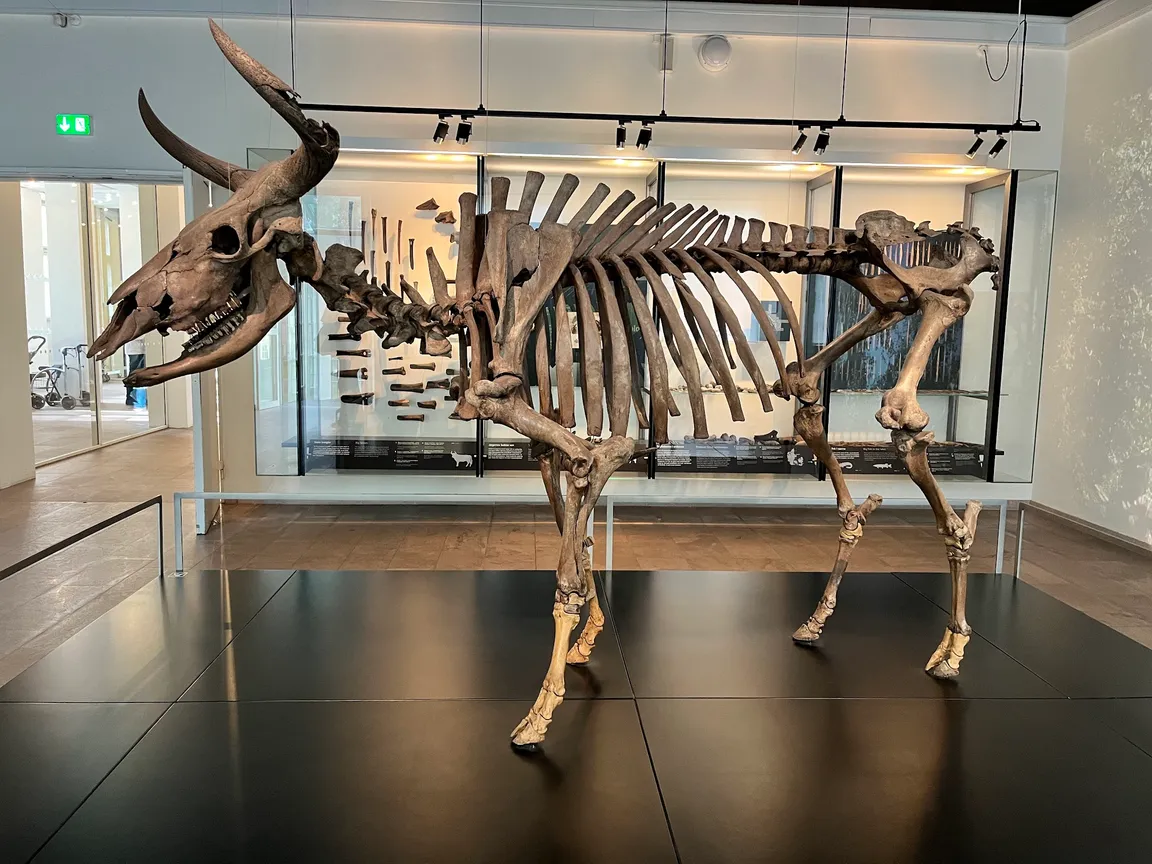 National Museum of Denmark