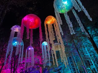 The Enchanted Forest, Pitlochry
