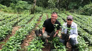 Spirit Mountain Organic Coffee Plantation and Ecological Reserve