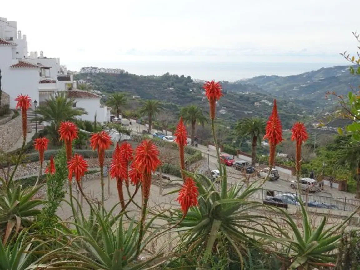 Santa Fiora Botanical Garden