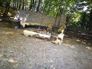 Dolina Bystrzycy