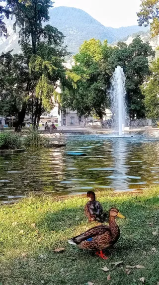 Laghetto Piazza Dante