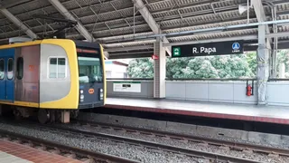 R. Papa
