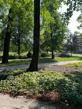 Plac Zabaw