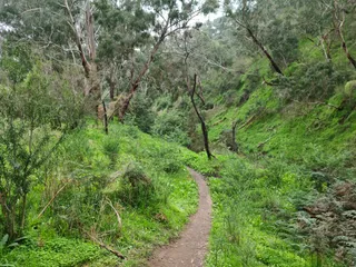 Plenty Gorge Park (Parks Victoria)