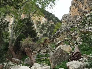 Avakas Gorge Canyon
