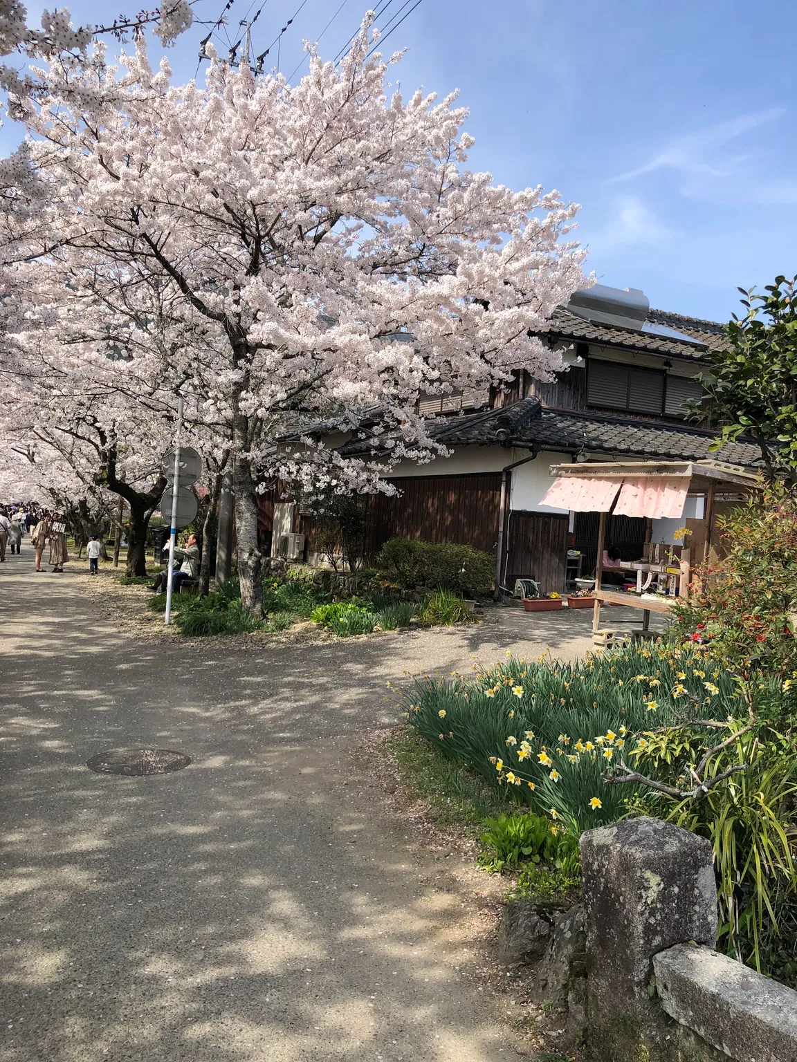 Akizuki Castle Ruins
