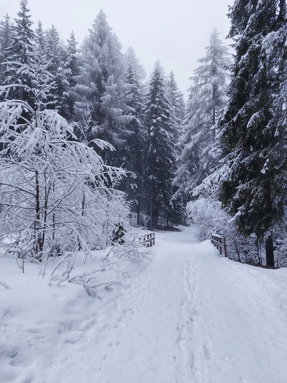 Ausgangspunkt Wanderrouten