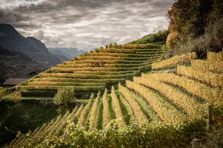 Weingut | Tenuta Oberfurner
