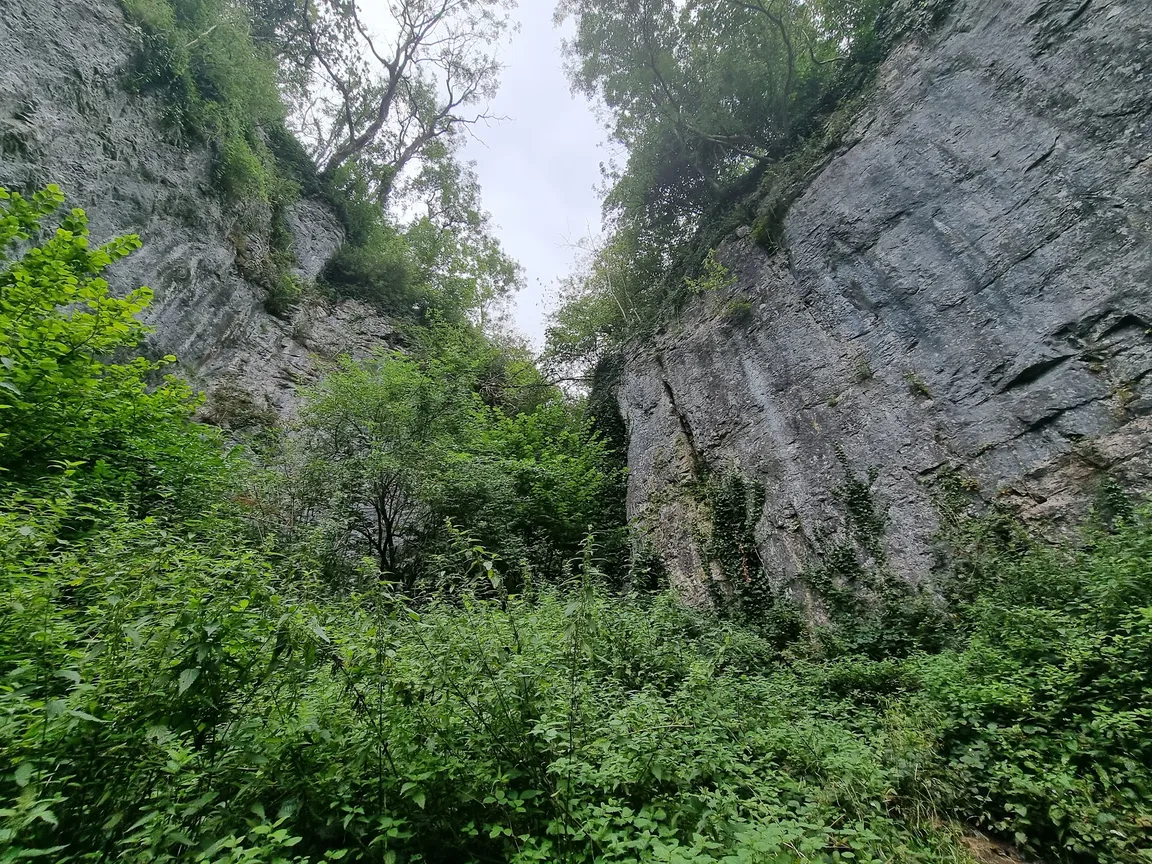 National Trust - Ebbor Gorge National Nature Reserve