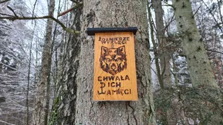 Polana Wykus