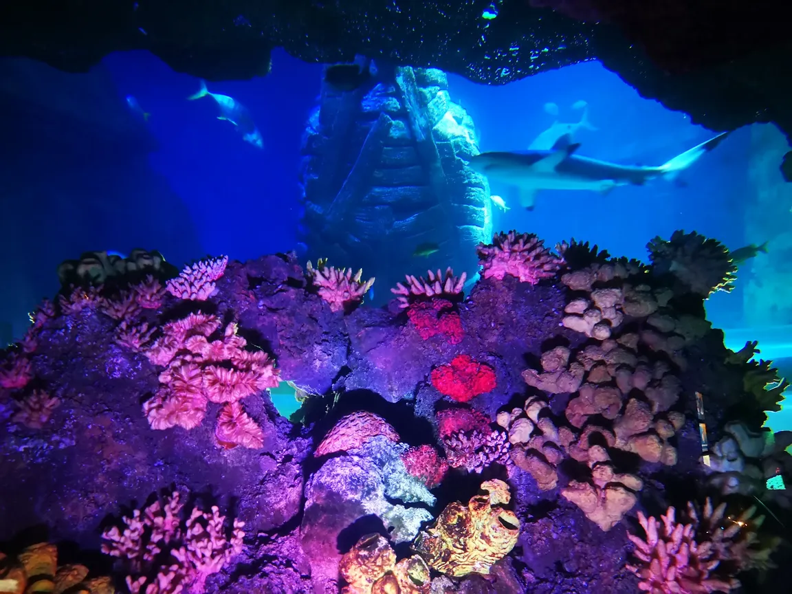 Sea Life Munich