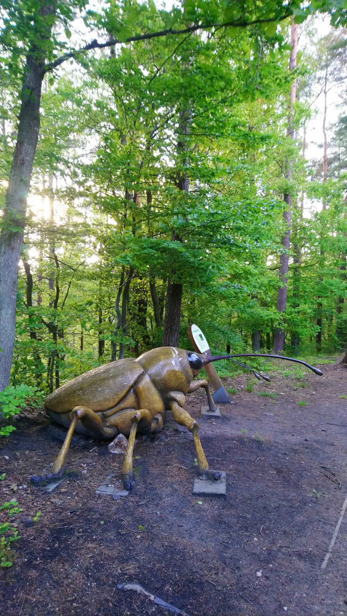 Leśny plac zabaw Marszewo