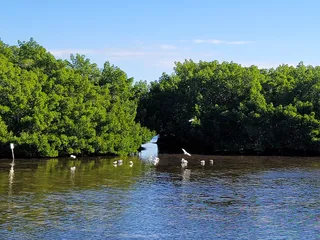 Weedon Island Preserve Cultural and Natural History Center