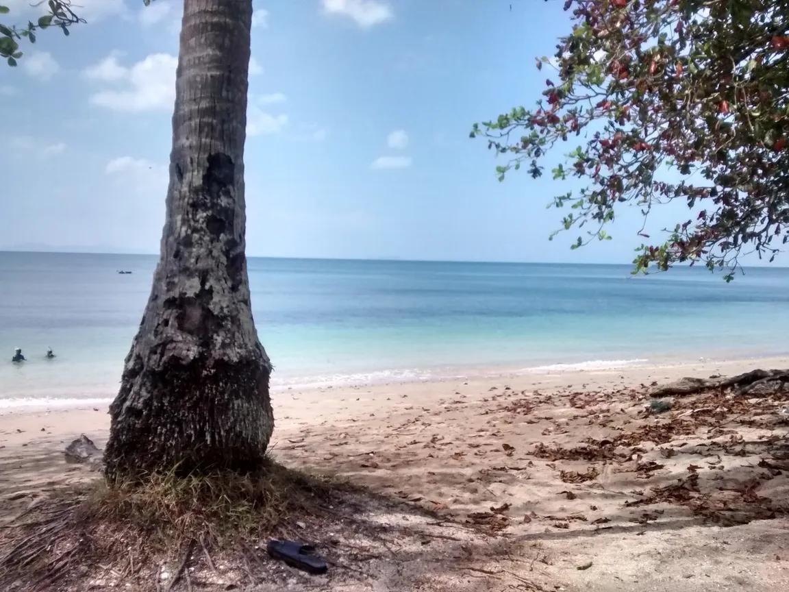 Coconut Beach